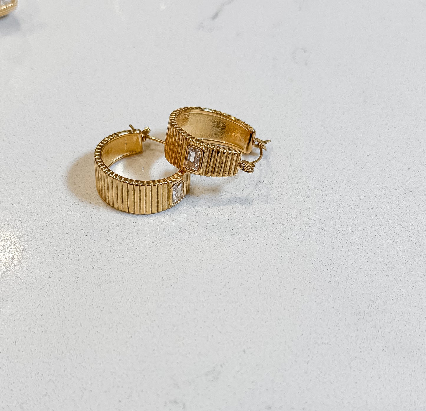 February Earrings
