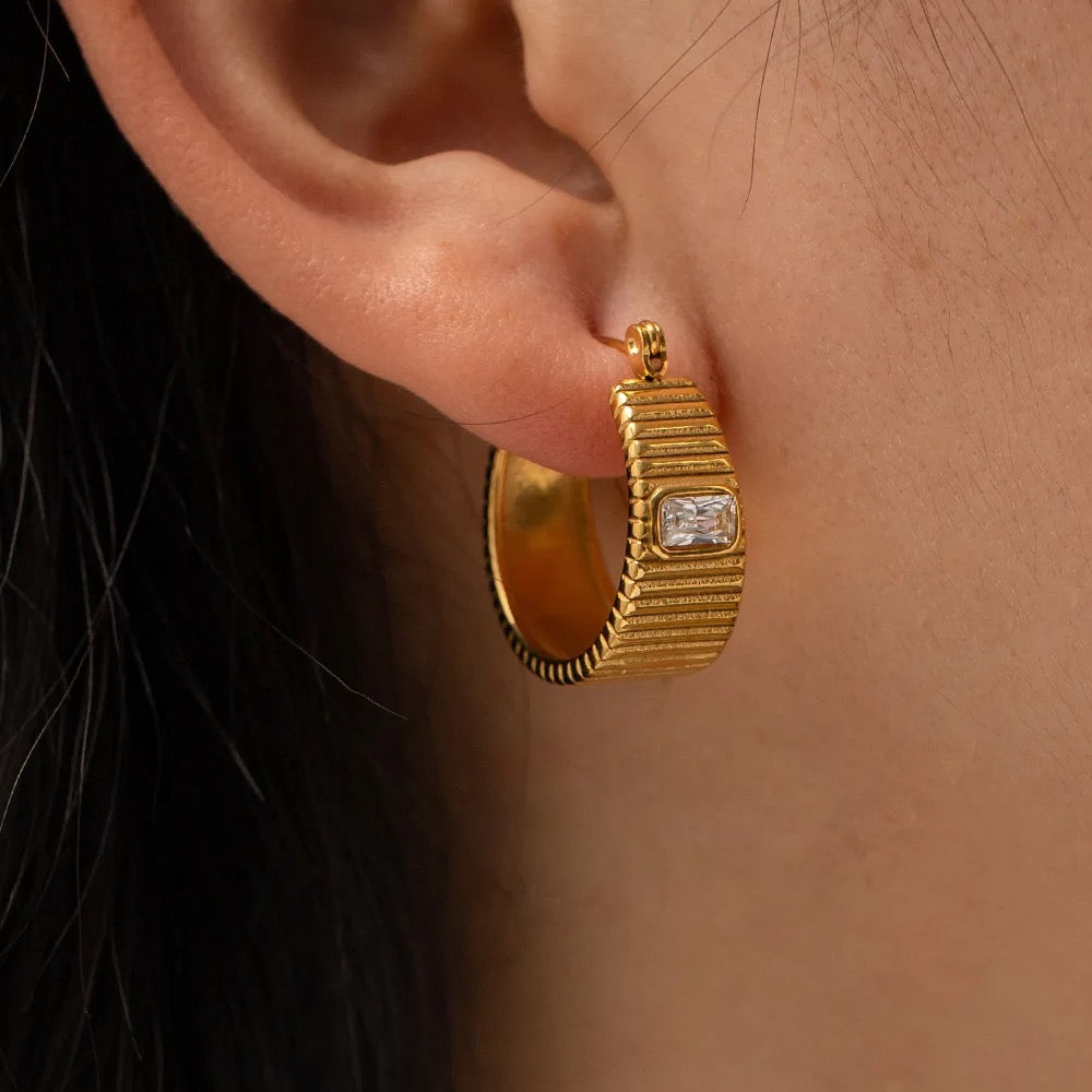February Earrings