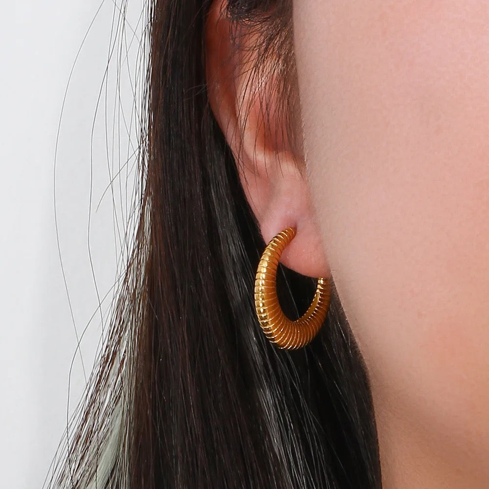 Pedra earrings