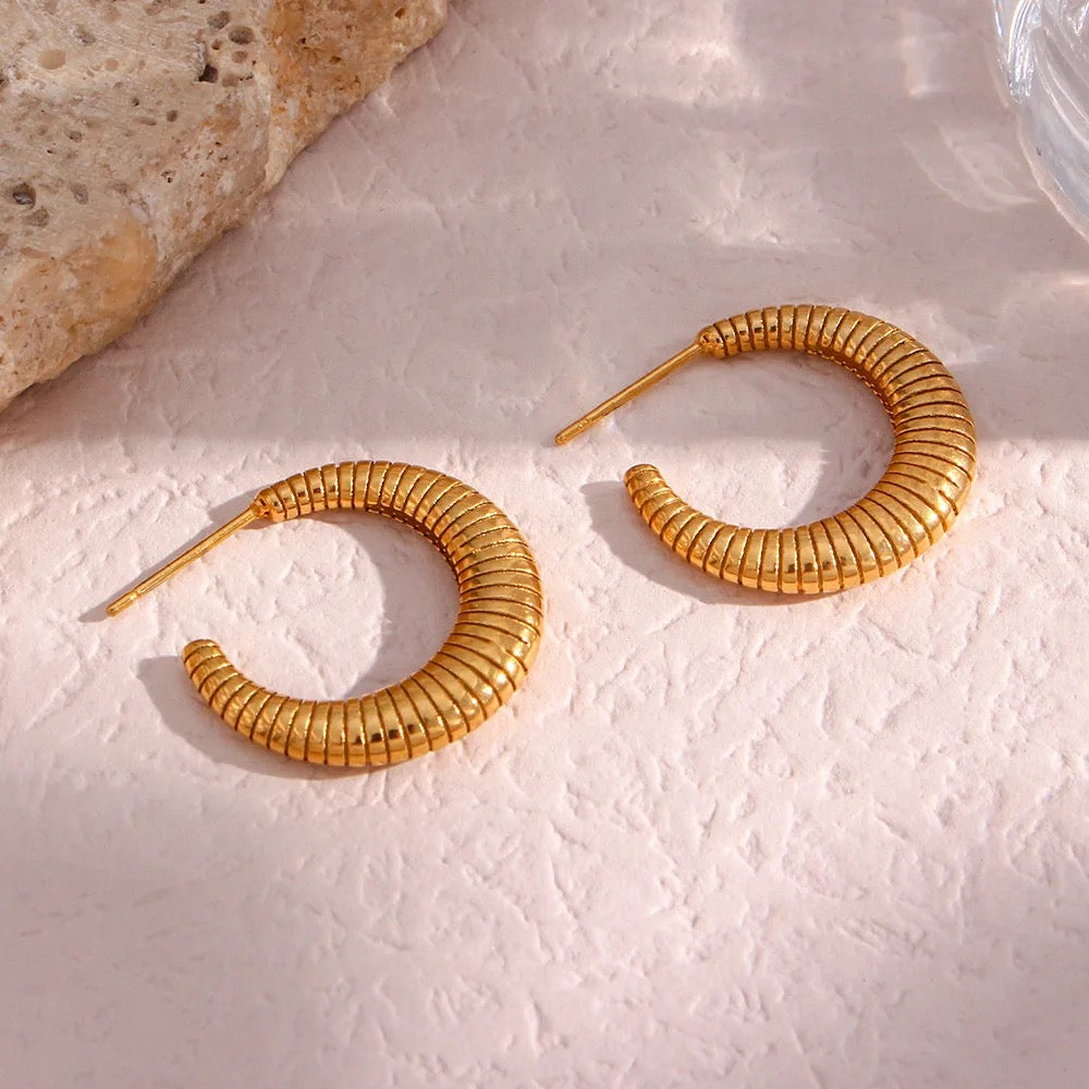 Pedra earrings