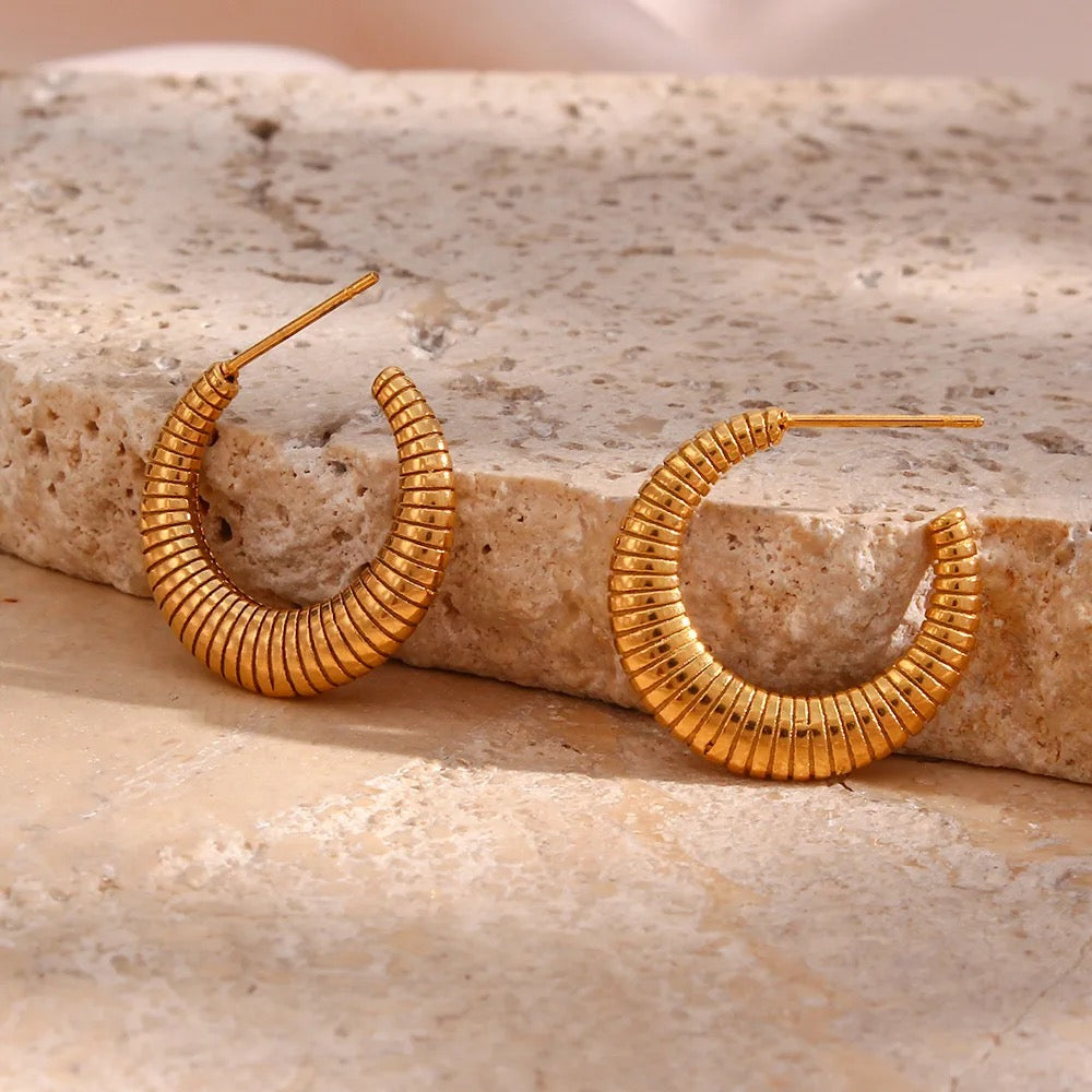 Pedra earrings